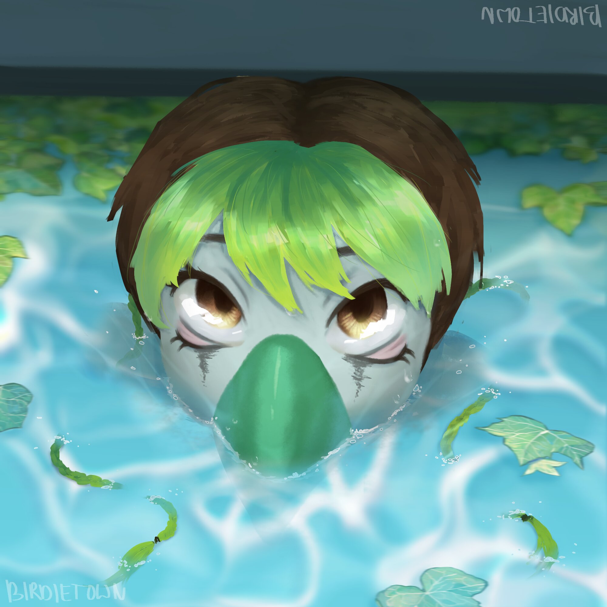 Pool Bird (white zebra finch)